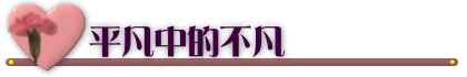 ���Z�������Z