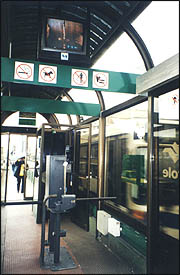 �糵վ�ĳ����